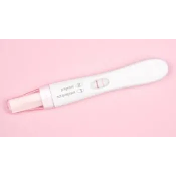  Pregnency Test